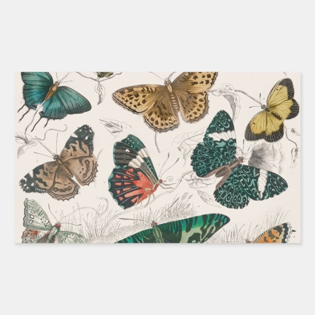 Sticker Rectangulaire Illustration de papillon antique : 1820 Orfèvre (Devant)