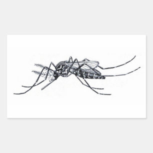 Sticker Rectangulaire Illustration vintage Aedes aegypti