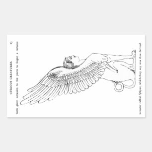 Sticker Rectangulaire Illustration vintage Sphinx