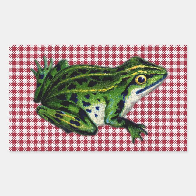 Sticker Rectangulaire Impression de grenouille pique-nique (Devant)