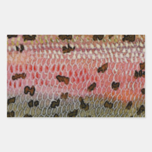 Sticker Rectangulaire Impression de la peau de poisson de truite arc-en-