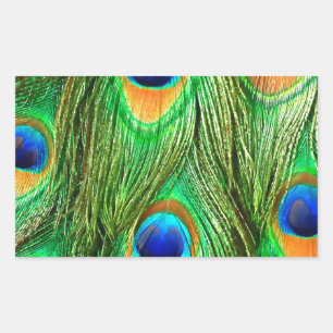 Sticker Rectangulaire Impression de plumes de paon colorées