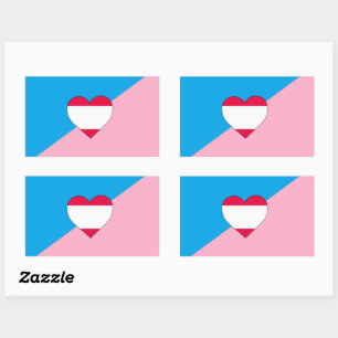 Sticker Rectangulaire Indicateur Age Play Pride