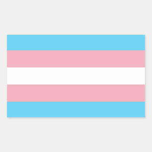 Sticker Rectangulaire Indicateur de fierté transgenre