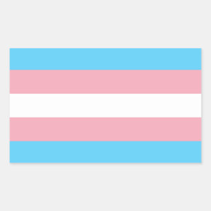 Sticker Rectangulaire Indicateur de fierté transgenre