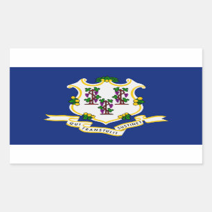 Sticker Rectangulaire Indicateur d'état du Connecticut