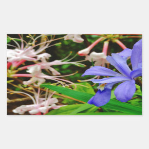 Sticker Rectangulaire Iris Nain Crêché