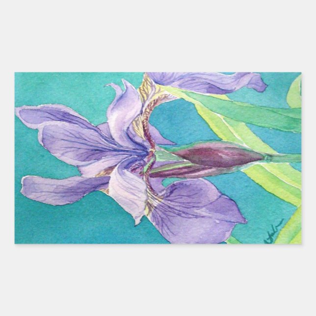 Sticker Rectangulaire Iris pourpre (Devant)