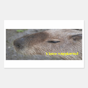 Sticker Rectangulaire J'adore les capybaras