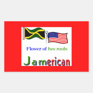 Sticker Rectangulaire jamérique