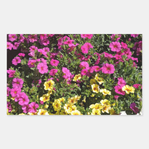 Sticker Rectangulaire Jardin aux fleurs