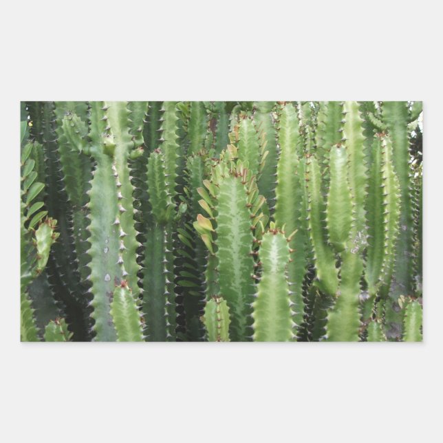 Sticker Rectangulaire Jardin de Cactus (Devant)