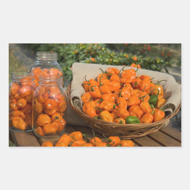 Sticker Rectangulaire Jardin Habanero (Devant)