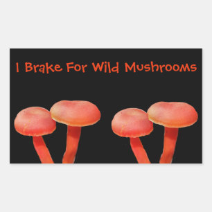 Sticker Rectangulaire Je Braque Pour Champignons Mignonne Nature