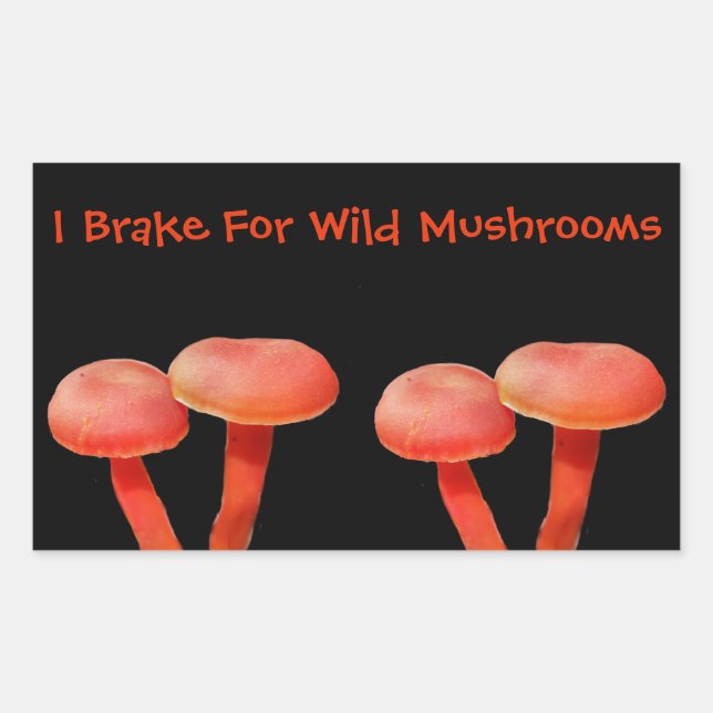 Sticker Rectangulaire Je Braque Pour Champignons Mignonne Nature (Devant)