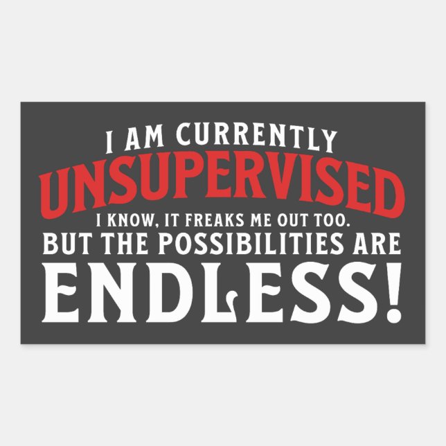 Sticker Rectangulaire Je Ne Suis Actuellement Pas Supervisé (Devant)