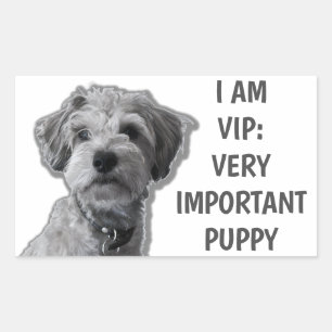 Sticker Rectangulaire Je suis VIP : Très important Chien, chien mignon