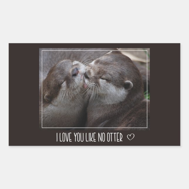 Sticker Rectangulaire Je T'Aime Pas D'Otter Mignonne Photo (Devant)