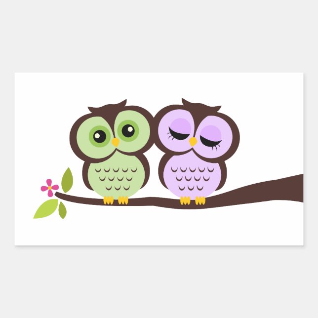 Sticker Rectangulaire Jolies Chouettes (Devant)