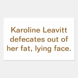 Sticker Rectangulaire Karoline Leavitt Bouche d'Egout Hankamer Artjunkha