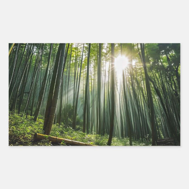 Sticker Rectangulaire La forêt de Bamboo (Devant)