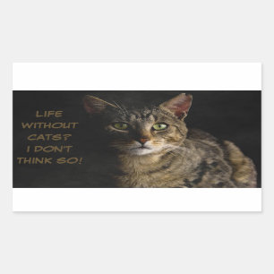 Sticker Rectangulaire La vie sans chats ? Je ne pense pas ! coutume drôl