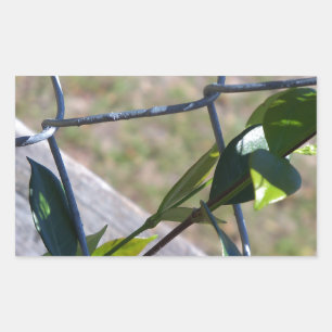 Sticker Rectangulaire la vigne sur une chaîne de clôture la vie trouve u