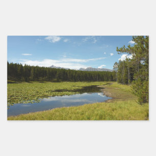 Sticker Rectangulaire Lac des Cygnes I dans le parc national de Grand Te