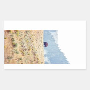 Sticker Rectangulaire Lamar