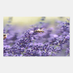 Sticker Rectangulaire Lavande printanière avec abeilles florales violett