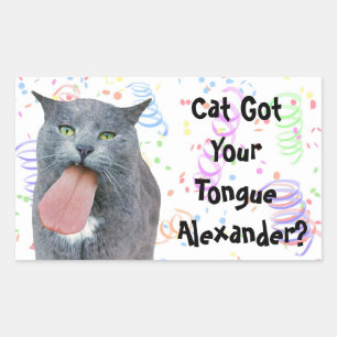 Sticker Rectangulaire Le Chat De Fête A Ta Langue ?