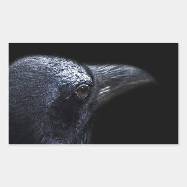 Sticker Rectangulaire Le Corbeau (Devant)