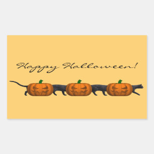 Sticker Rectangulaire Le plus long chat du monde