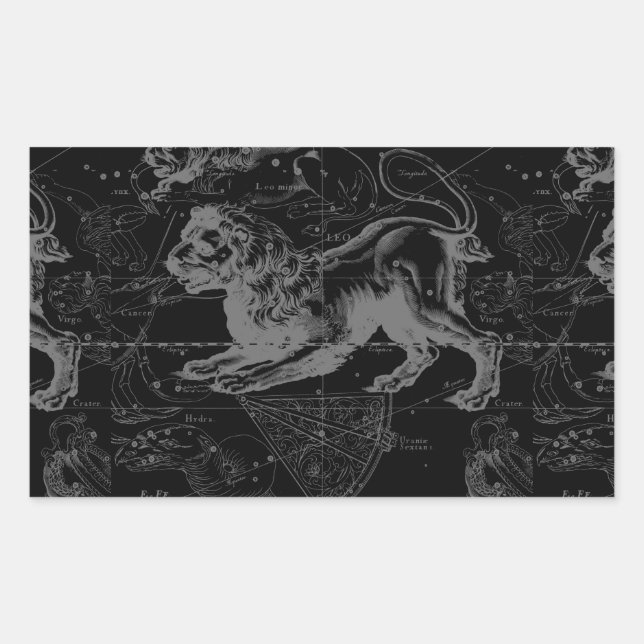 Sticker Rectangulaire Leo Constellation Hevelius 1690 Décor (Devant)