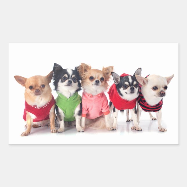 Sticker Rectangulaire Les mignons animaux (Devant)