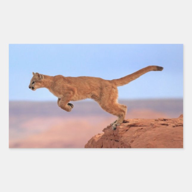 Sticker Rectangulaire Lion de montagne (Devant)