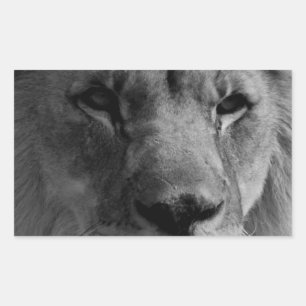 Sticker Rectangulaire Lion noir et blanc