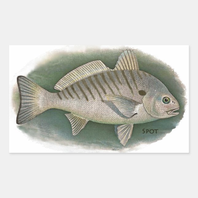 Sticker Rectangulaire Logo de poisson à l'endroit (Devant)
