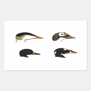 Sticker Rectangulaire Logo Sea Ducks