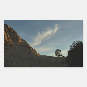 Sticker Rectangulaire Lone Torrey Pine Californie Sunset Paysage