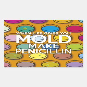 STICKER RECTANGULAIRE LORSQUE LA VIE VOUS DONNE MOLD FAIRE PENICILLIN