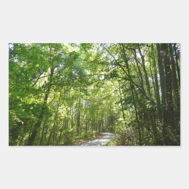 Sticker Rectangulaire Lumière du soleil sur le chemin en bois au Centenn (Devant)