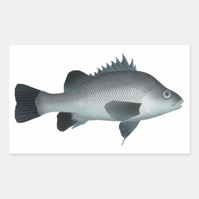 Sticker Rectangulaire Macquarie Perch (Devant)