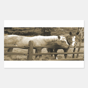Sticker Rectangulaire Meilleurs amis