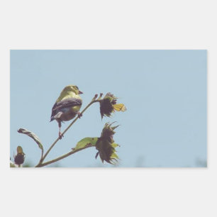 Sticker Rectangulaire Mes amis les petits visiteurs. #oiseau #nature #fa