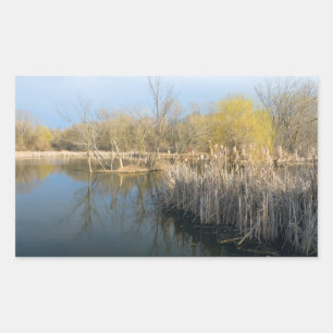 Sticker Rectangulaire Métaux roseaux et arbres dans l'ouest de Saint Pau