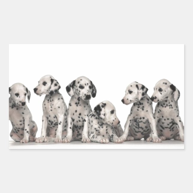 Sticker Rectangulaire mignonette chiots marionnettes chiot chiot chien c (Devant)