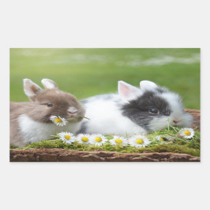 Sticker Rectangulaire Mignons lapins lapins de lapin avec fleurs