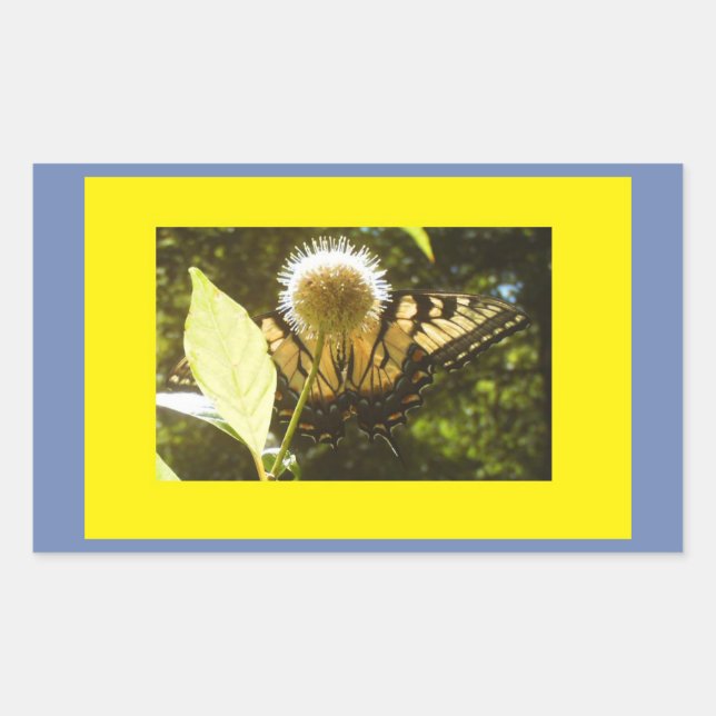 Sticker Rectangulaire Monarque (Devant)