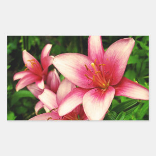 Sticker Rectangulaire Moneymaker Lily